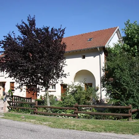 Gîte Le Clos des Vosges Ban-sur-Meurthe-Clefcy Extérieur photo