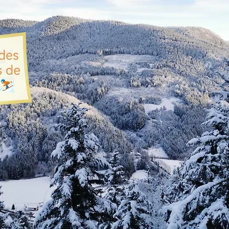 Gîte Le Clos des Vosges Ban-sur-Meurthe-Clefcy Extérieur photo