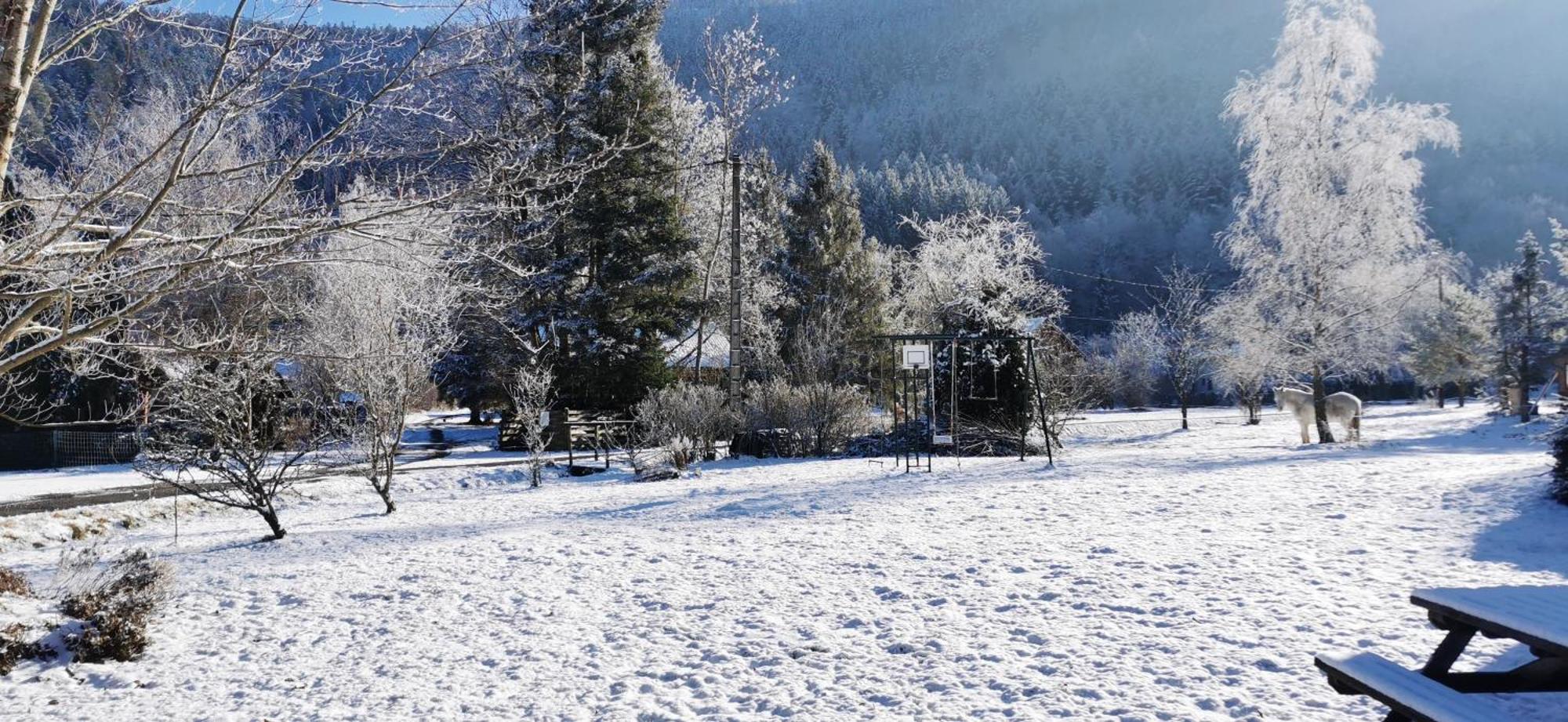 Le Clos Des Vosges * Ban-sur-Meurthe-Clefcy