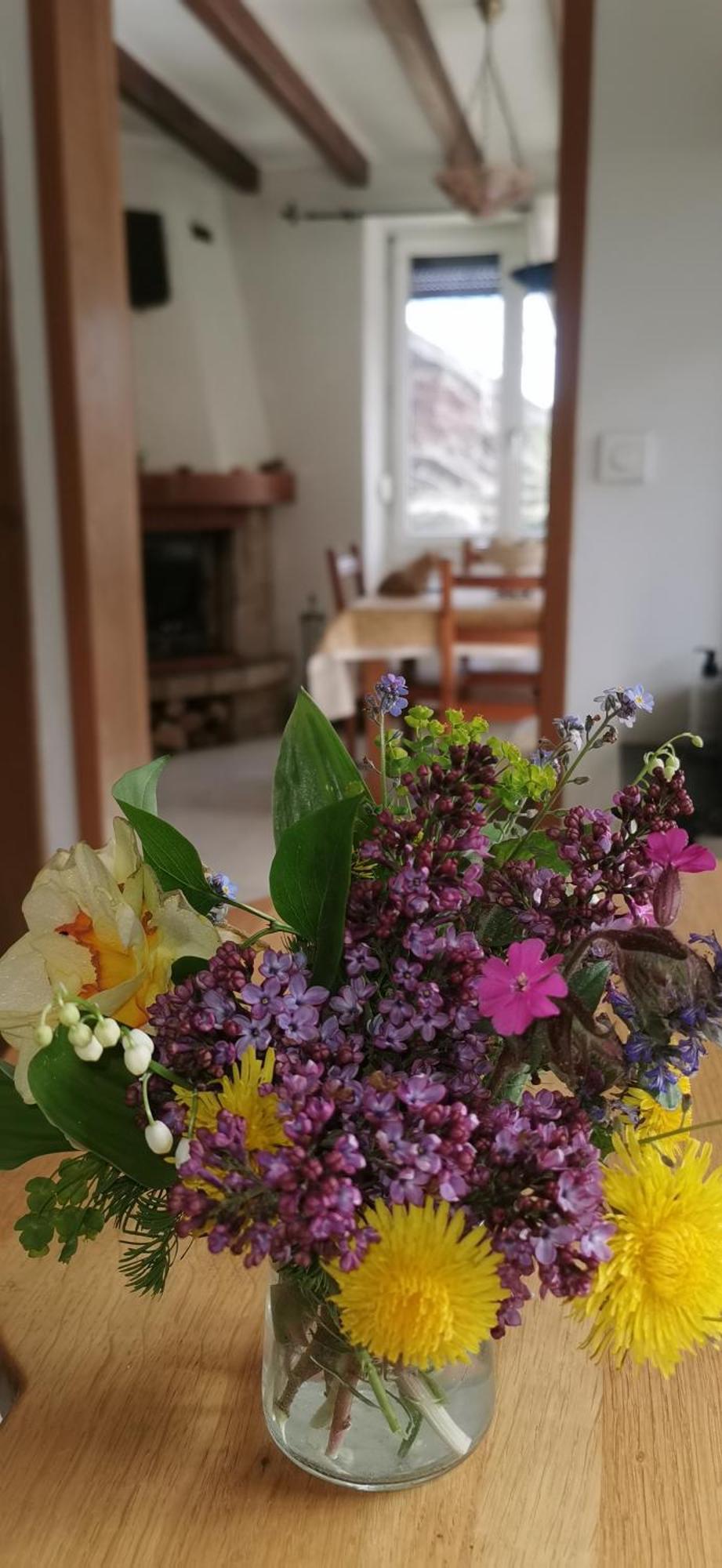 Le Clos Des Vosges Appartement