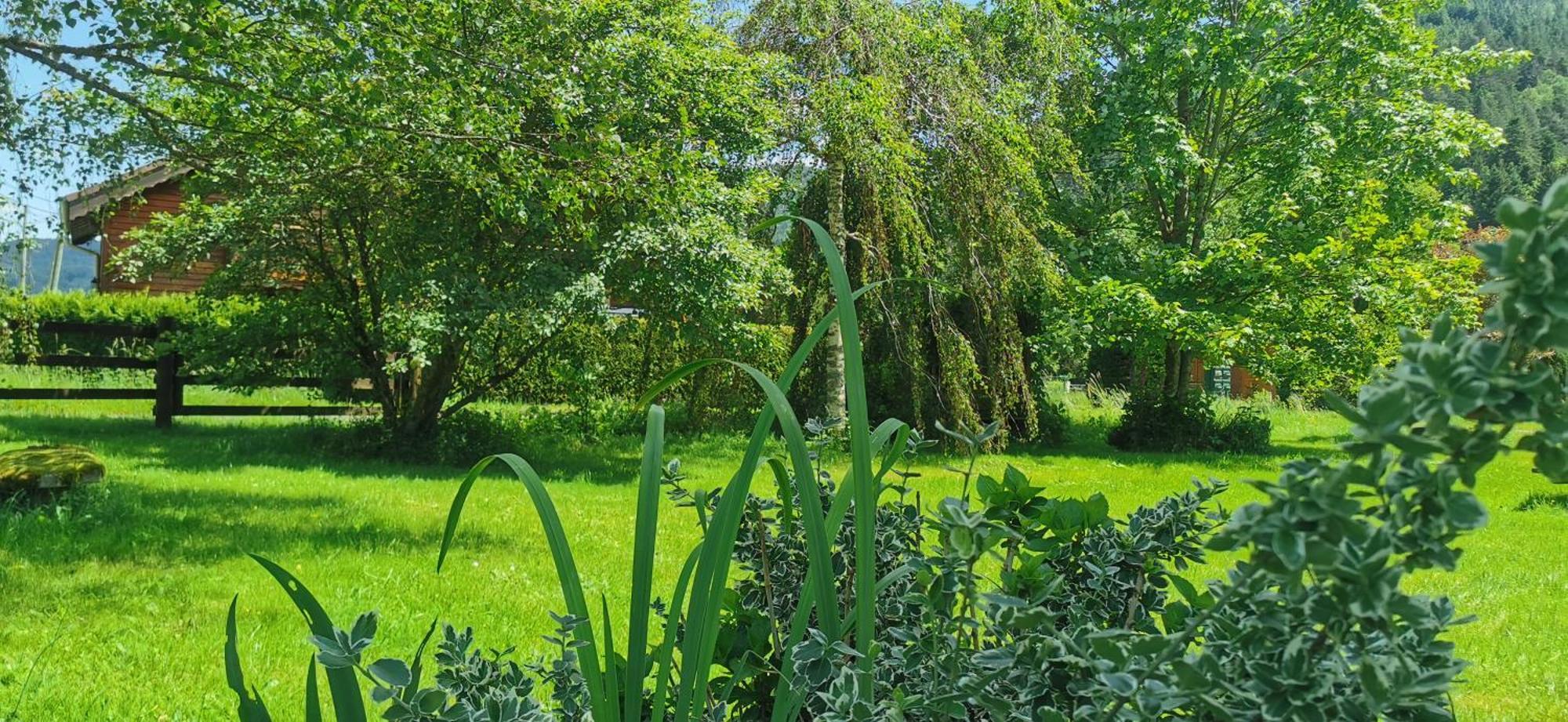 Le Clos Des Vosges Ban-sur-Meurthe-Clefcy